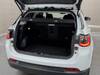 CHRYSLER JEEP COMPASS