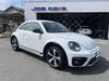 VOLKSWAGEN THE BEETLE