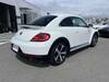 VOLKSWAGEN THE BEETLE