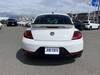 VOLKSWAGEN THE BEETLE