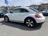 VOLKSWAGEN THE BEETLE