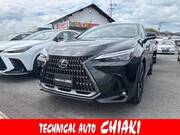 2025 LEXUS NX
