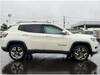CHRYSLER JEEP COMPASS