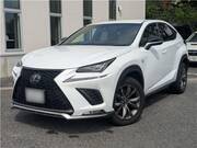 2018 LEXUS NX