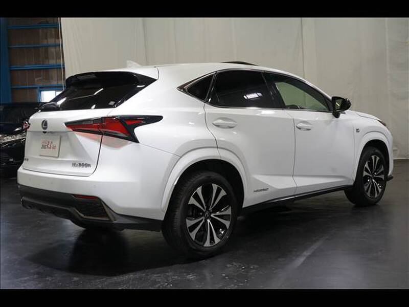 2017 LEXUS NX for sale - photo 10