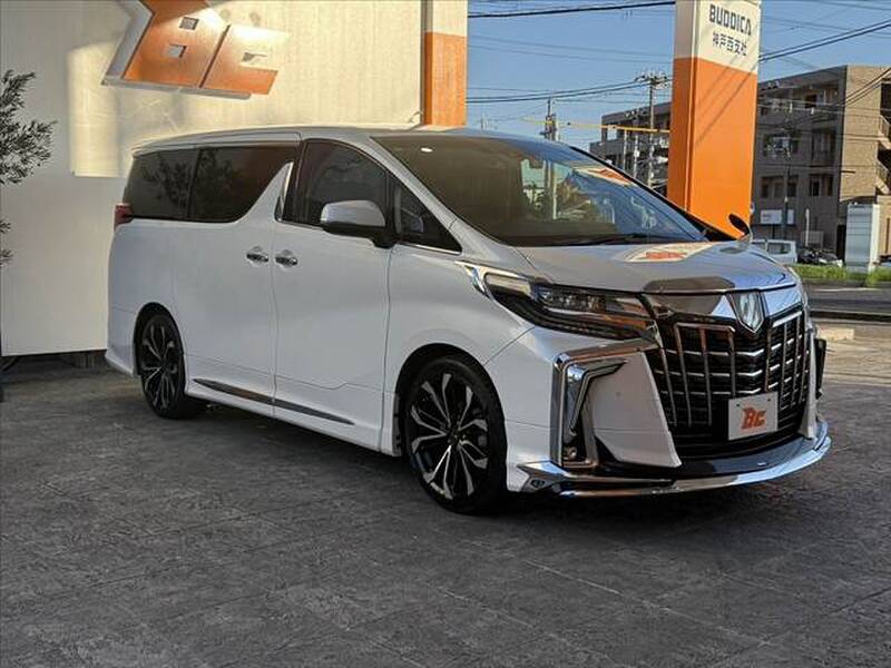 2019 TOYOTA ALPHARD for sale - photo 9