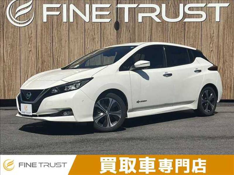 2018 NISSAN LEAF for sale