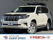 2023 TOYOTA LAND CRUISER PRADO TX