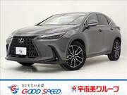 2022 LEXUS NX