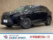 2024 LEXUS RX