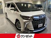 2020 TOYOTA ALPHARD HYBRID