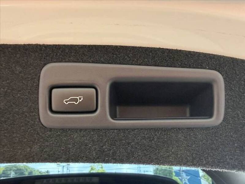 2019 TOYOTA HARRIER (LEXUS RX300) for sale - more photos