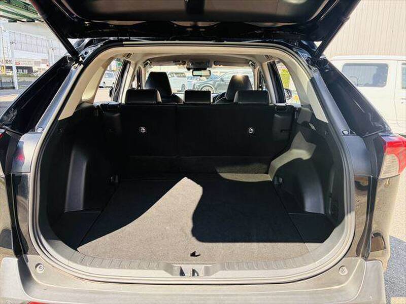 2019 TOYOTA RAV4 for sale - photo 11
