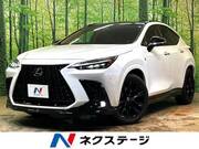 2024 LEXUS NX