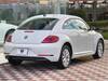 VOLKSWAGEN THE BEETLE