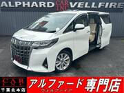 2018 TOYOTA ALPHARD 2.5X