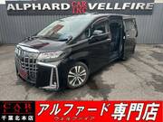 2019 TOYOTA ALPHARD