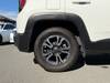 CHRYSLER JEEP RENEGADE