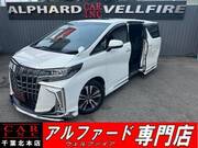 2019 TOYOTA ALPHARD 2.5S