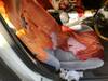 NISSAN BLUEBIRD