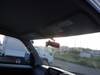 TOYOTA TOWNACE TRUCK