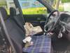 DAIHATSU TERIOS KID