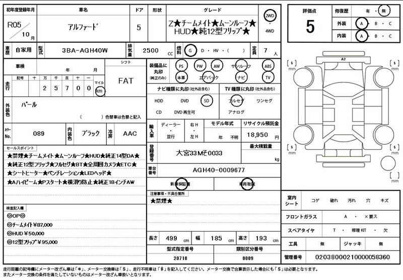2023 TOYOTA ALPHARD for sale - photo 12