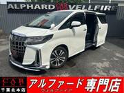 2019 TOYOTA ALPHARD