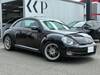 VOLKSWAGEN THE BEETLE