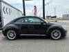 VOLKSWAGEN THE BEETLE