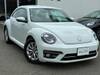 VOLKSWAGEN THE BEETLE