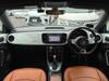 VOLKSWAGEN THE BEETLE