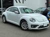 VOLKSWAGEN THE BEETLE