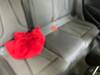 AUDI A3 SPORTBACK E-TRON
