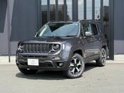 2019 CHRYSLER JEEP RENEGADE