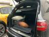 MERCEDES BENZ E-CLASS Stationwagon