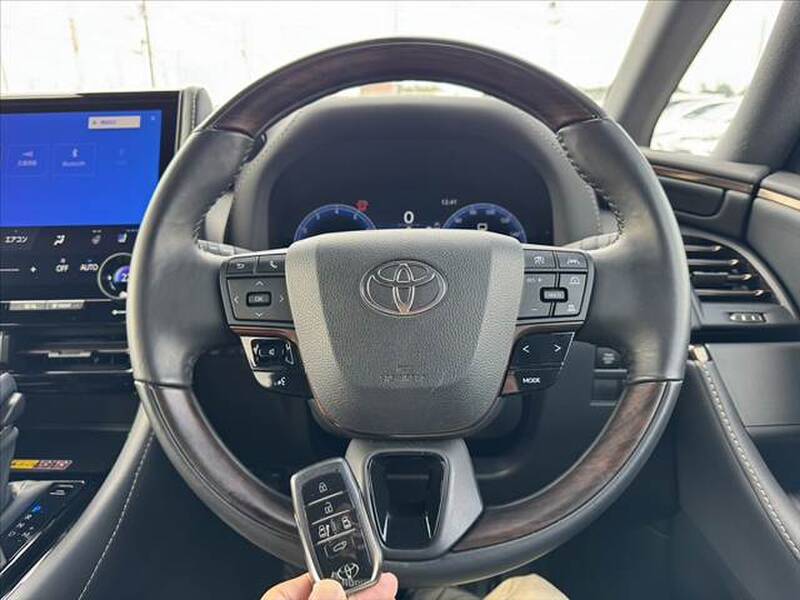 2025 TOYOTA ALPHARD for sale - more photos
