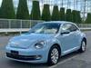 VOLKSWAGEN THE BEETLE