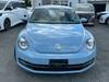VOLKSWAGEN THE BEETLE