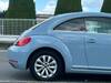 VOLKSWAGEN THE BEETLE