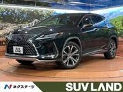 2021 LEXUS RX