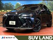 2025 LEXUS NX