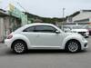 VOLKSWAGEN THE BEETLE