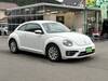 VOLKSWAGEN THE BEETLE