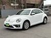 VOLKSWAGEN THE BEETLE