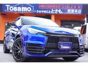 2025 LEXUS OTHER