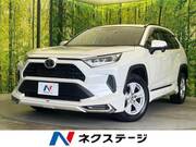 2019 TOYOTA RAV4 X