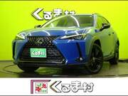 2021 LEXUS UX