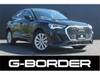 AUDI OTHER