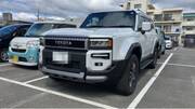 2025 TOYOTA LANDCRUISER 250